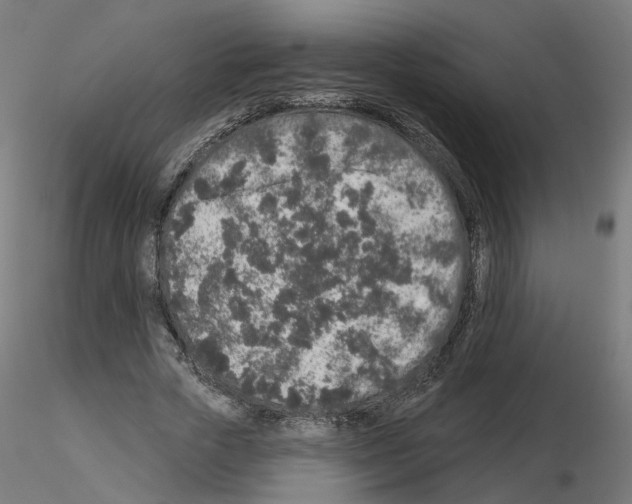 X0000115550729200912181552