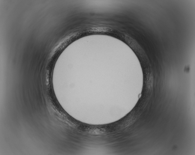 X0000115550731200912181552