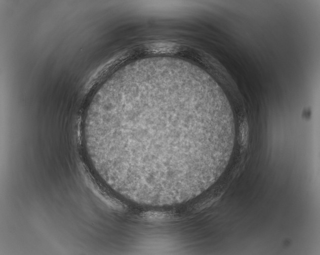 X0000115550733200912181552