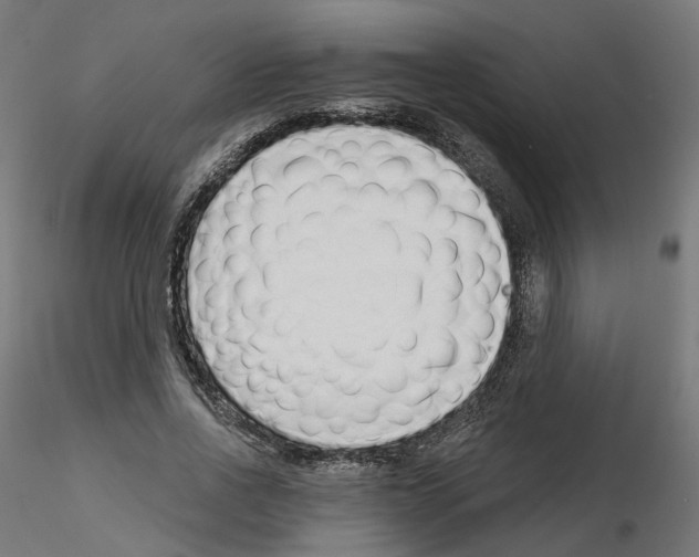 X0000115550734200912181552