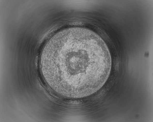 X0000115550735200912181552