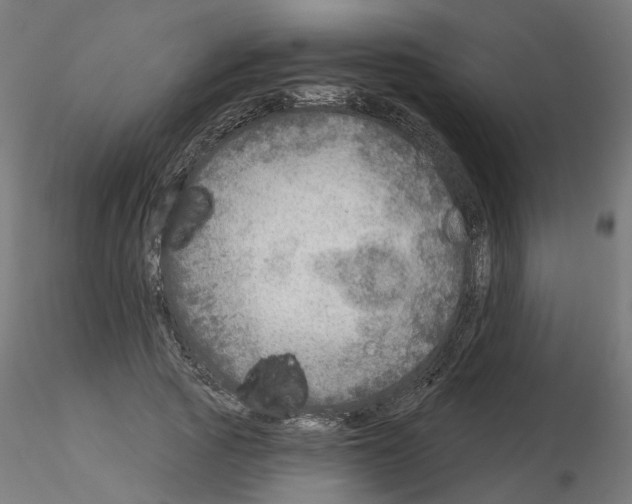 X0000115550737200912181552