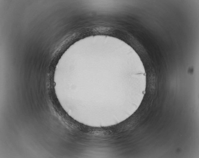 X0000115550738200912181552