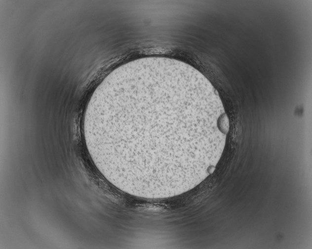 X0000115550743200912181552