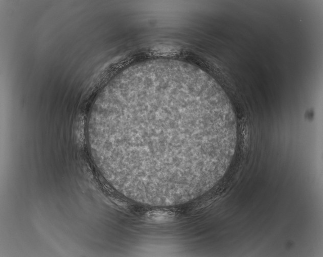 X0000115550745200912181552