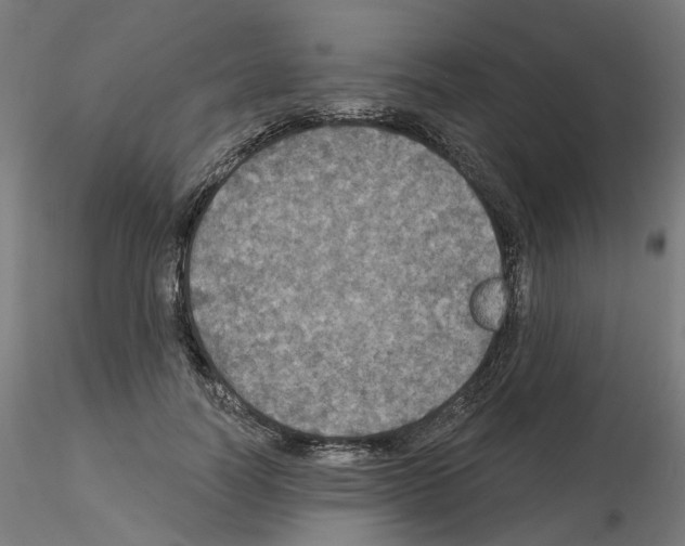 X0000115550746200912181552