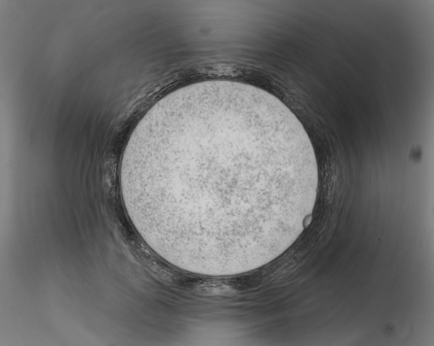 X0000115550747200912181552