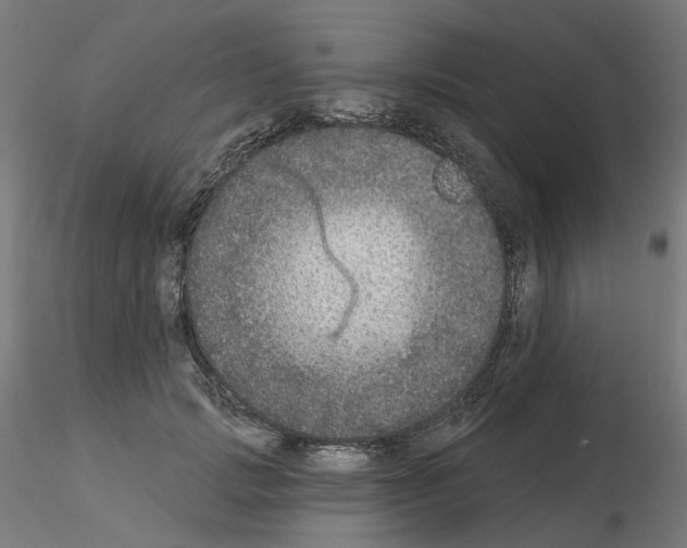 X0000115550749200912181552