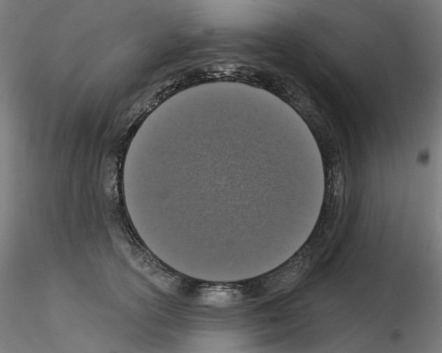 X0000115550754200912181552