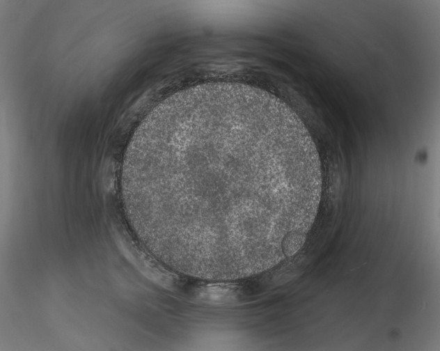 X0000115550758200912181552