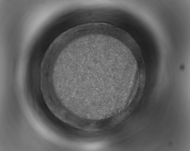 X0000115550765200912181553