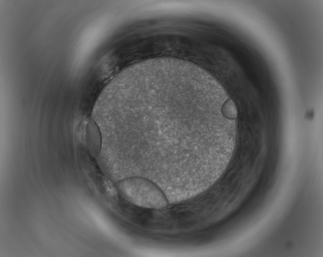 X0000115550766200912181553