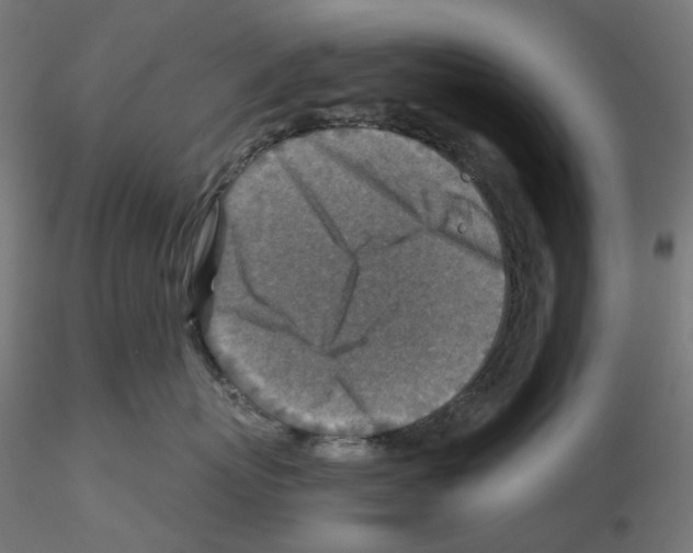 X0000115550767200912181553