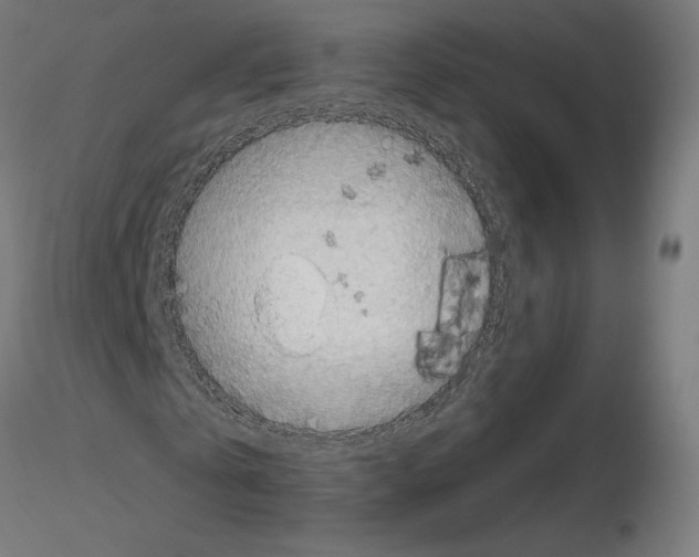 X0000115550769200912181552