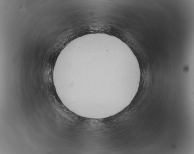 X0000115550770200912181552