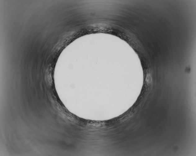 X0000115550771200912181552