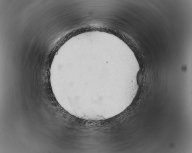 X0000115550776200912181552