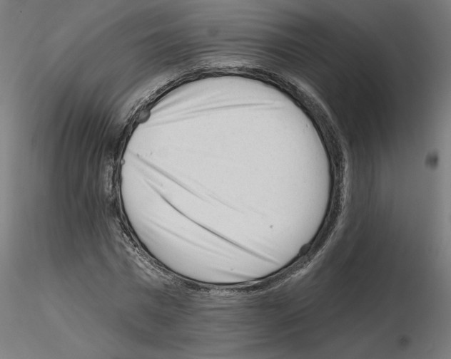 X0000115550777200912181552