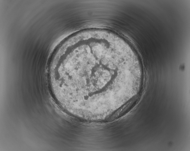 X0000115550779200912181552