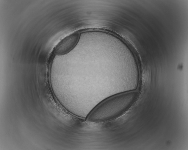 X0000115550781200912181552