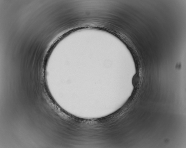 X0000115550784200912181552