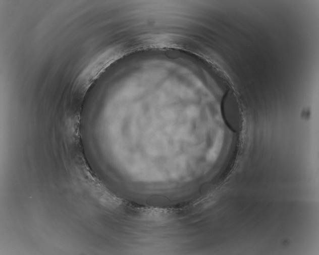 X0000115550785200912181552