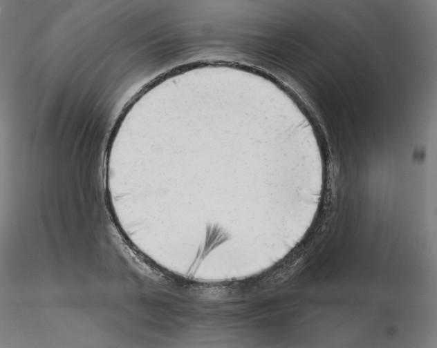 X0000115550791200912181552