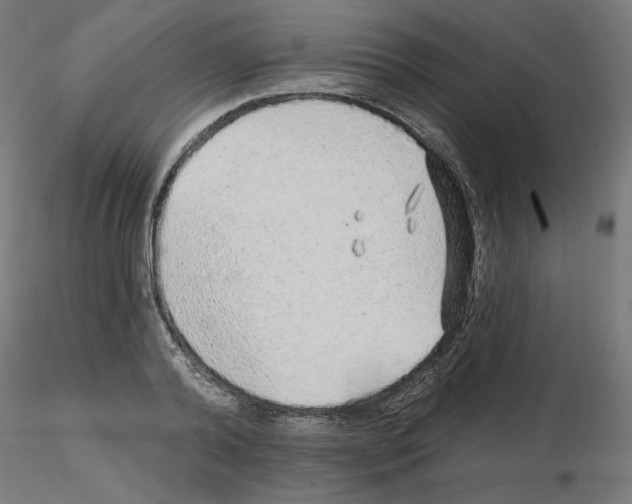 X0000115550792200912181552