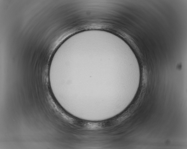 X0000115550794200912181552