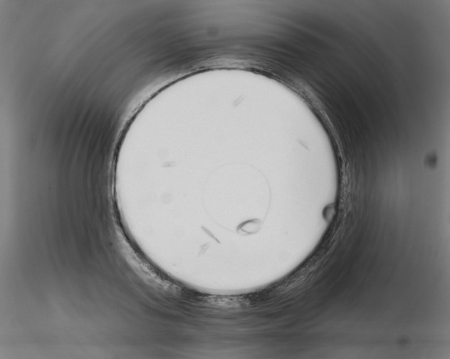 X0000115550795200912181552