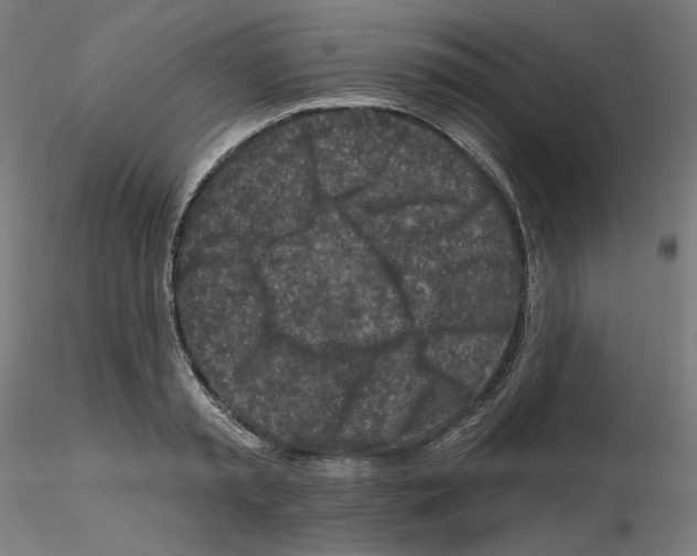 X0000115550797200912181552