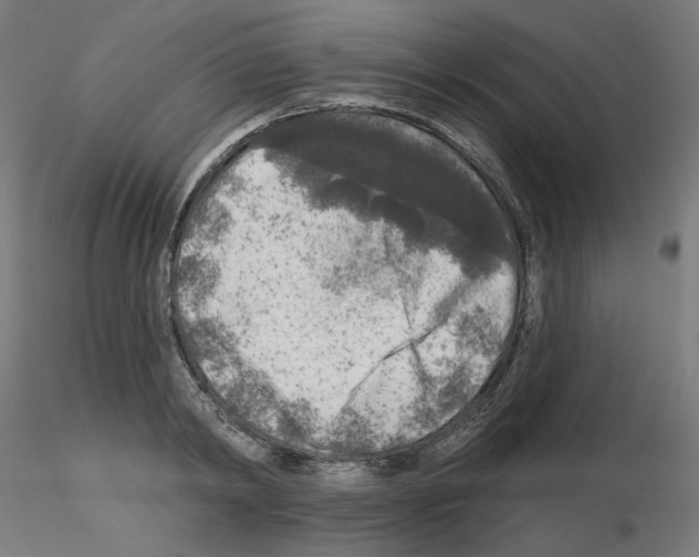 X0000115550798200912181552