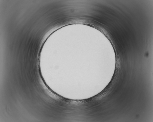 X0000115550803200912181551