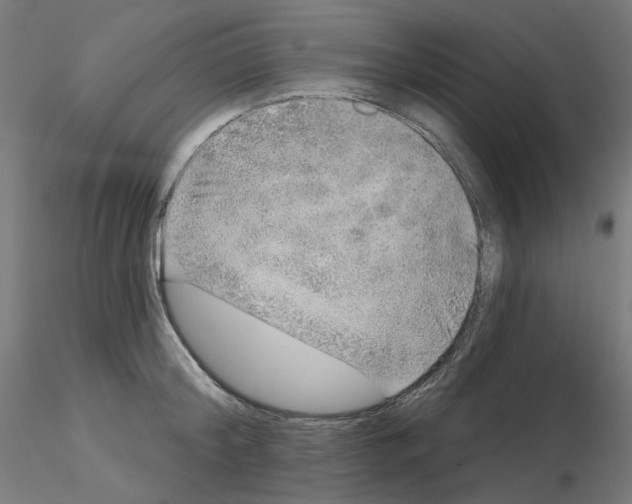 X0000115550804200912181551