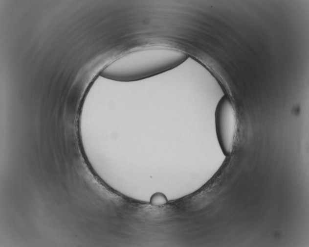 X0000115550805200912181551