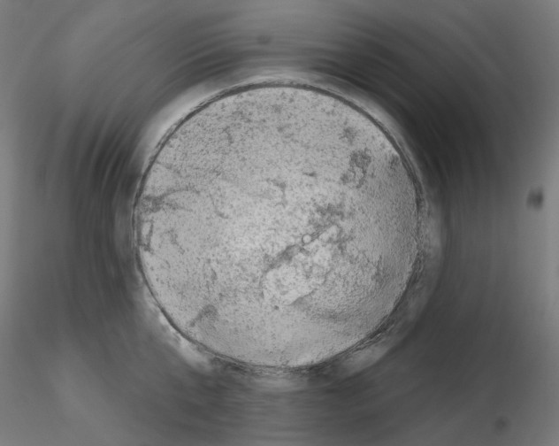 X0000115550807200912181551