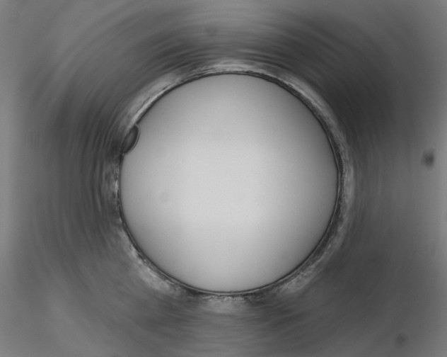 X0000115550809200912181551