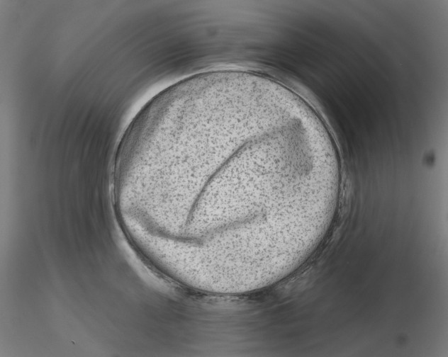 X0000115550811200912181551