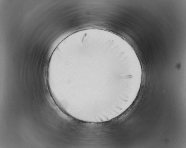 X0000115550812200912181551