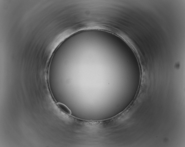 X0000115550813200912181551