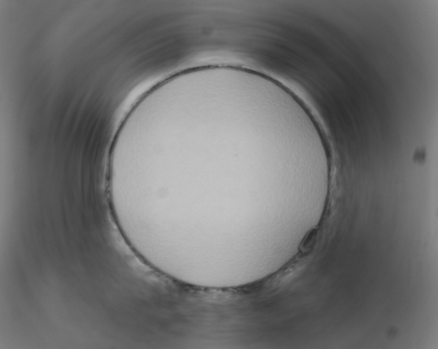 X0000115550815200912181551