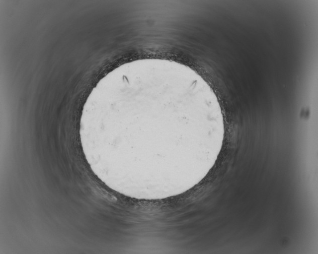 X0000115550817200912181550