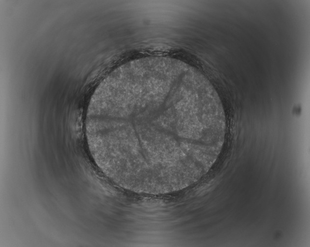 X0000115550818200912181550