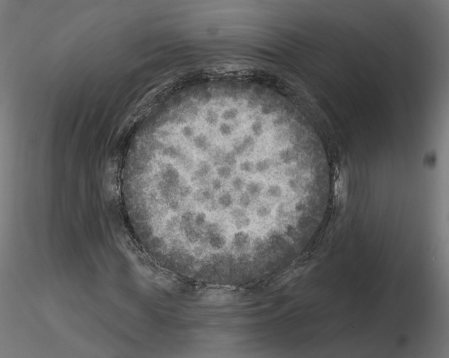 X0000115550819200912181550