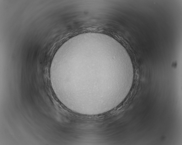 X0000115550820200912181551