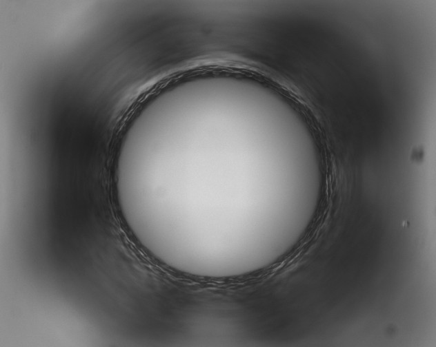 X0000115550822200912181551