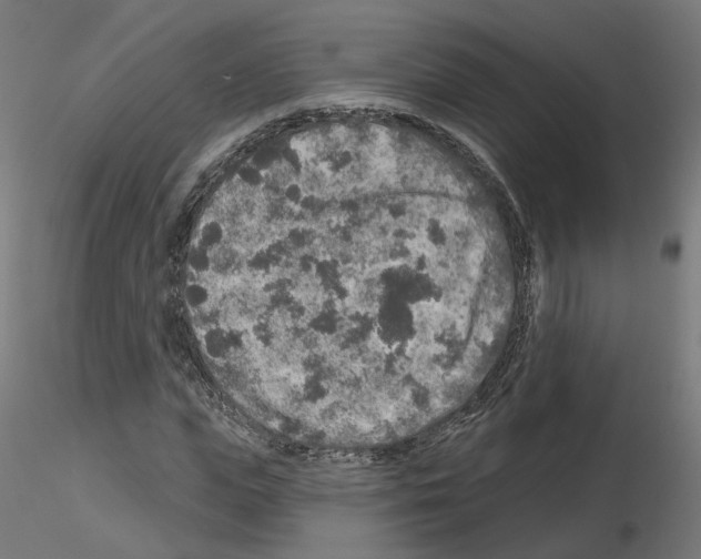 X0000115550823200912181551