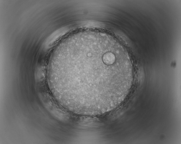 X0000115550824200912181551