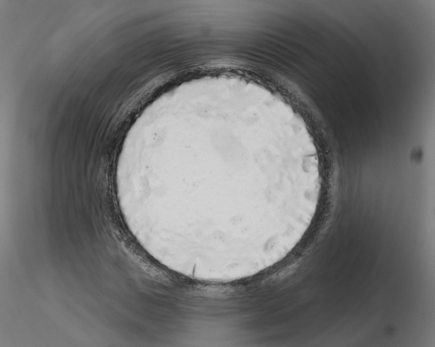 X0000115550825200912181551