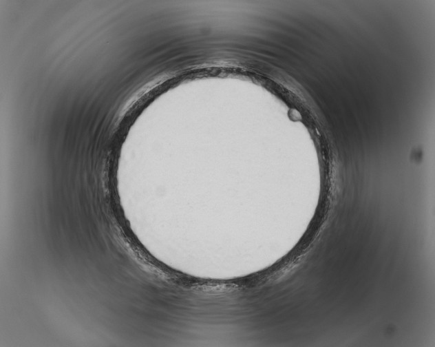 X0000115550826200912181551